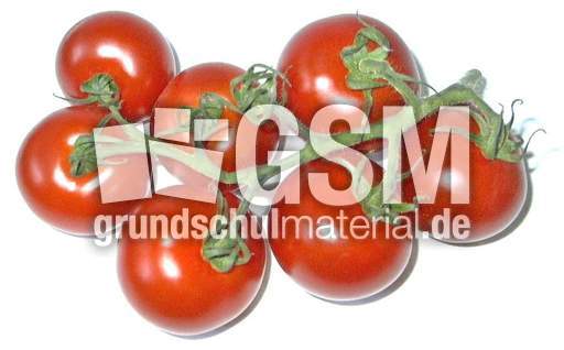 Tomaten-7.jpg